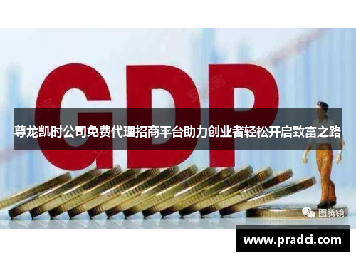尊龙凯时公司免费代理招商平台助力创业者轻松开启致富之路