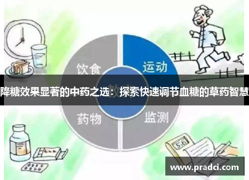 降糖效果显著的中药之选：探索快速调节血糖的草药智慧