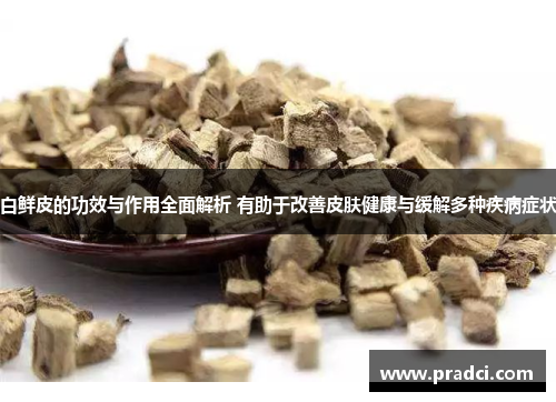 白鲜皮的功效与作用全面解析 有助于改善皮肤健康与缓解多种疾病症状