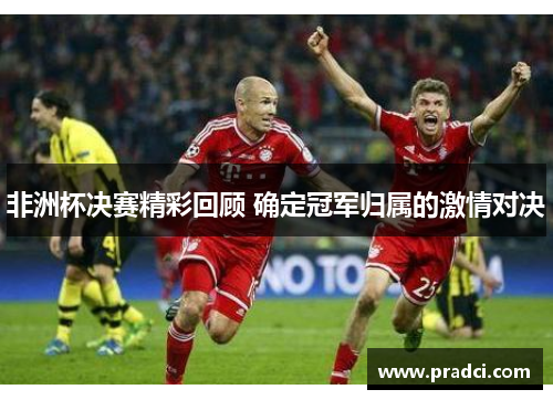 非洲杯决赛精彩回顾 确定冠军归属的激情对决